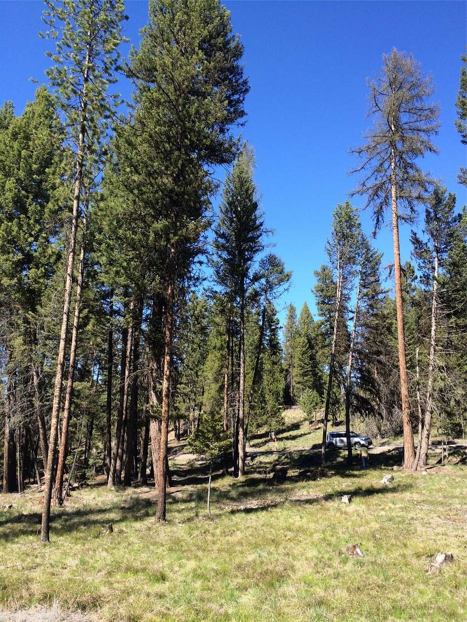 2 Acres of Residential Land for Sale in Seeley Lake, Montana