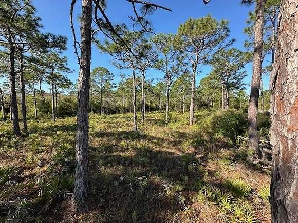 4.3 Acres of Residential Land for Sale in Eastpoint, Florida