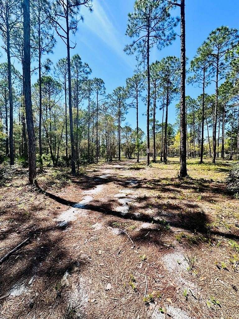 8.19 Acres of Residential Land for Sale in Carrabelle, Florida