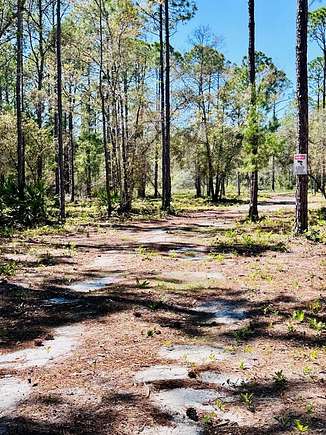 8.2 Acres of Residential Land for Sale in Carrabelle, Florida