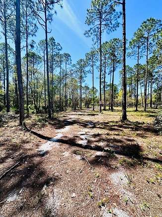 8.19 Acres of Residential Land for Sale in Carrabelle, Florida