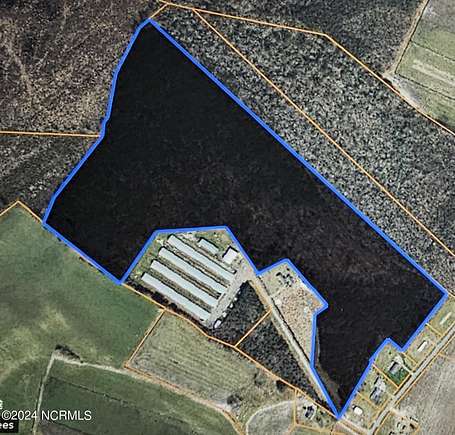 55 Acres of Recreational Land for Sale in Tyner, North Carolina
