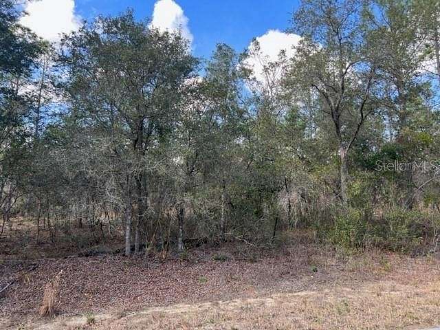 0.26 Acres of Residential Land for Sale in Summerfield, Florida