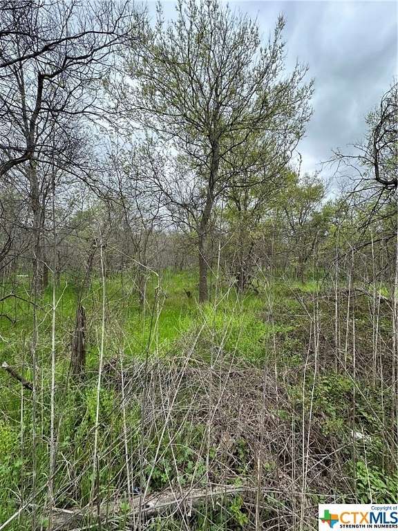 0.189 Acres of Residential Land for Sale in Marlin, Texas
