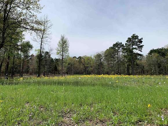 5.5 Acres of Residential Land for Sale in LaRue, Texas