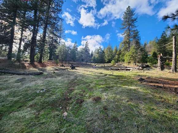 3.2 Acres of Residential Land for Sale in Pioneer, California