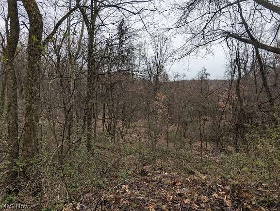 5 Acres of Residential Land for Sale in Beach City, Ohio