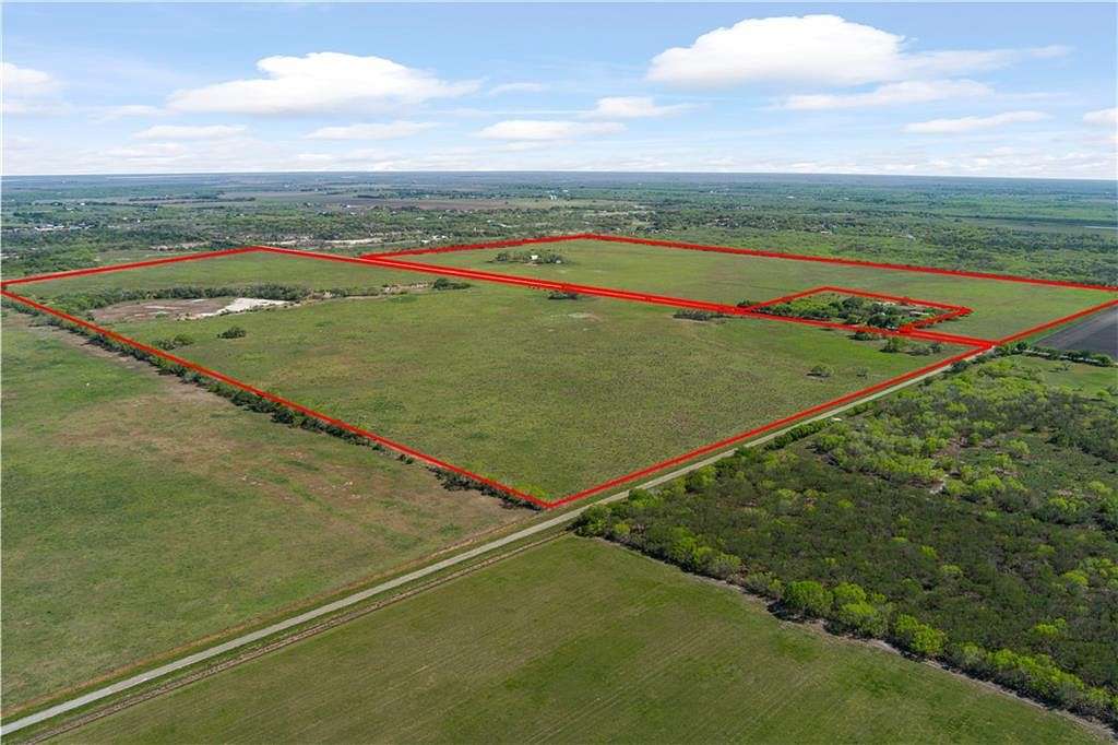195 Acres of Agricultural Land for Sale in Kingsville, Texas