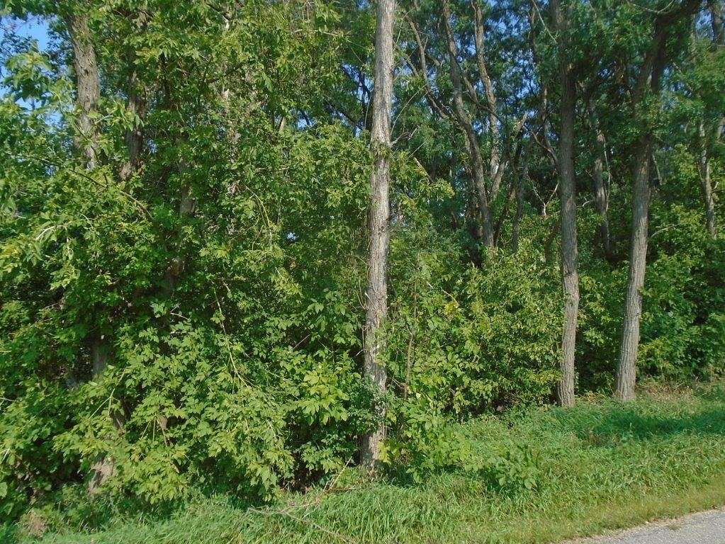 2 Acres of Residential Land for Sale in Mauston, Wisconsin