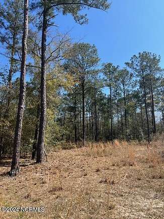 0.56 Acres of Residential Land for Sale in Leland, North Carolina