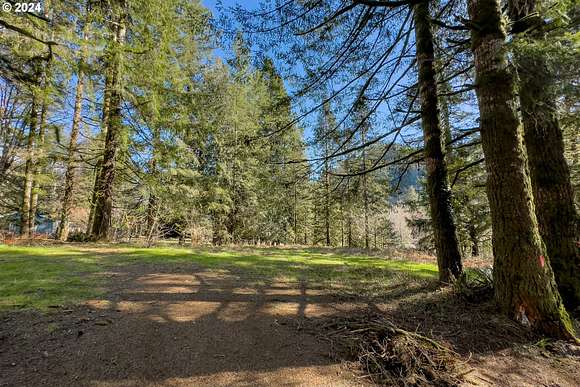 6.8 Acres of Land for Sale in Tillamook, Oregon