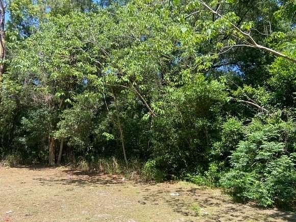 0.2 Acres of Residential Land for Sale in Mount Dora, Florida