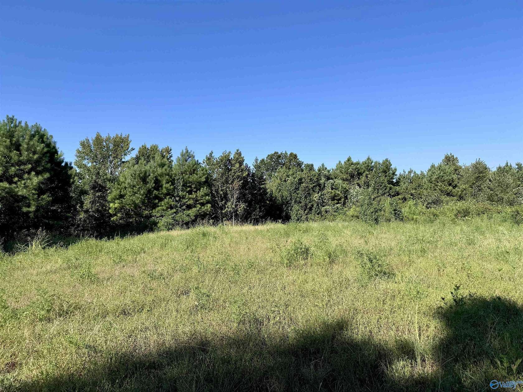 33 Acres of Land for Sale in Vinemont, Alabama