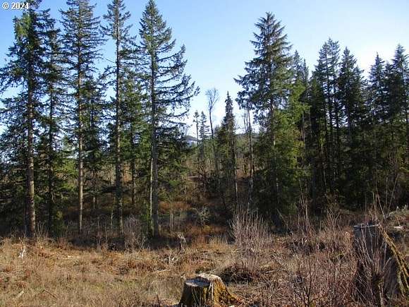 580 Acres of Land for Sale in Silverton, Oregon