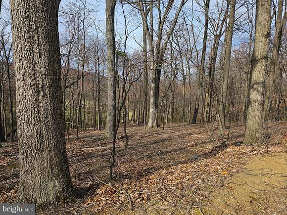 49.6 Acres of Recreational Land for Auction in Mercersburg, Pennsylvania