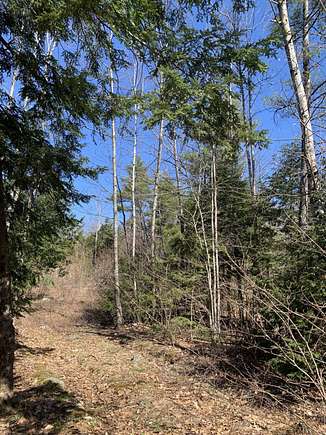9.9 Acres of Residential Land for Sale in Sebago Town, Maine
