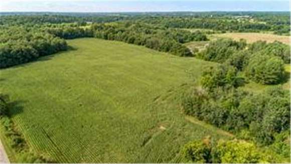 38.5 Acres of Land for Sale in Apple River Town, Wisconsin