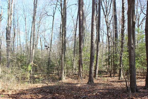 0.24 Acres of Land for Sale in Greenbackville, Virginia