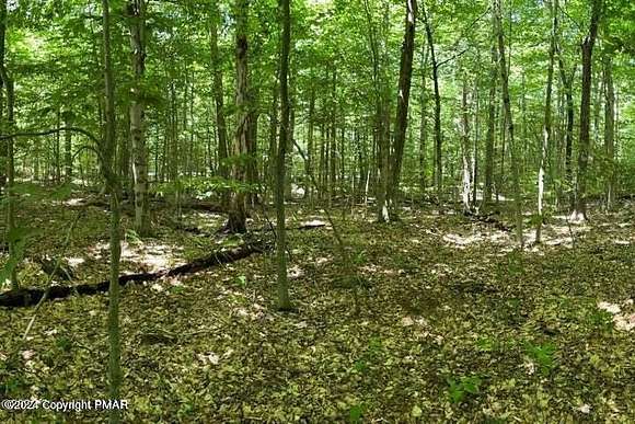 1.1 Acres of Residential Land for Sale in Pocono Pines, Pennsylvania