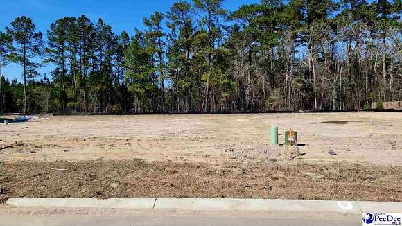 0.37 Acres of Residential Land for Sale in Florence, South Carolina