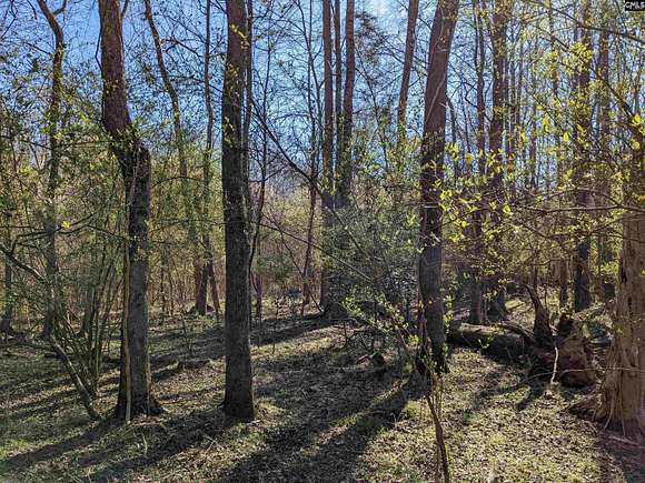 7 Acres of Land for Sale in Newberry, South Carolina