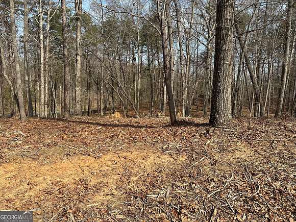 1 Acre of Residential Land for Sale in Cleveland, Georgia
