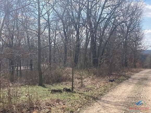 24 Acres of Recreational Land with Home for Sale in Lincoln, Missouri