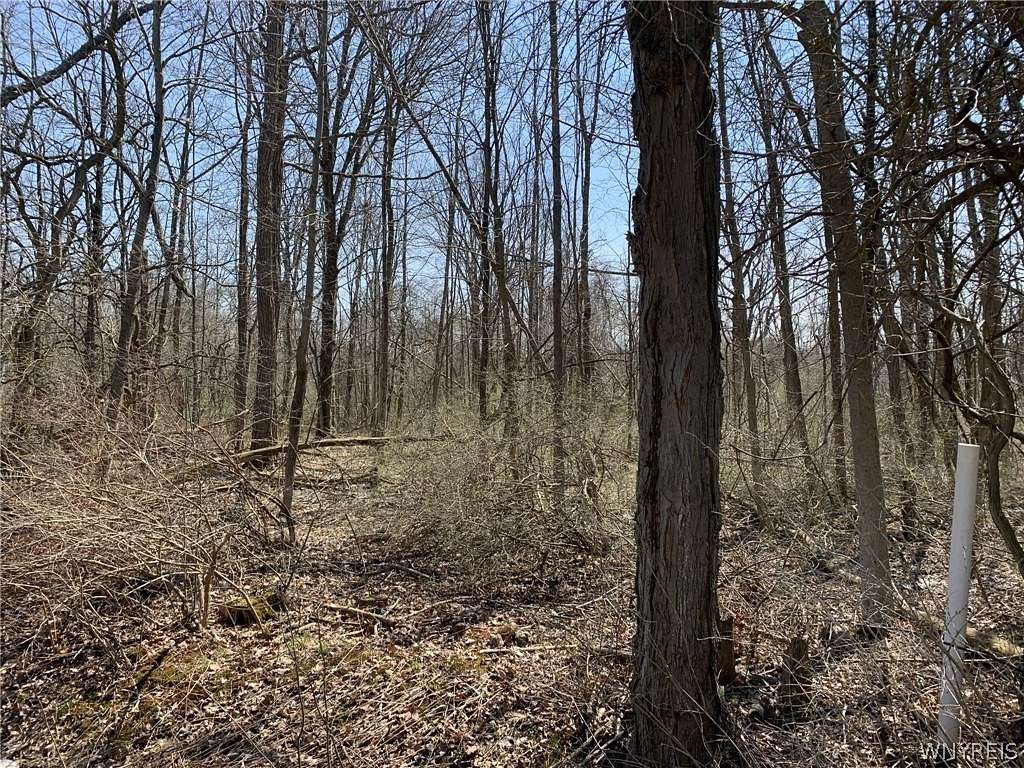 0.46 Acres of Residential Land for Sale in Evans Town, New York