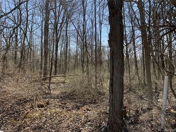 0.46 Acres of Residential Land for Sale in Derby, New York
