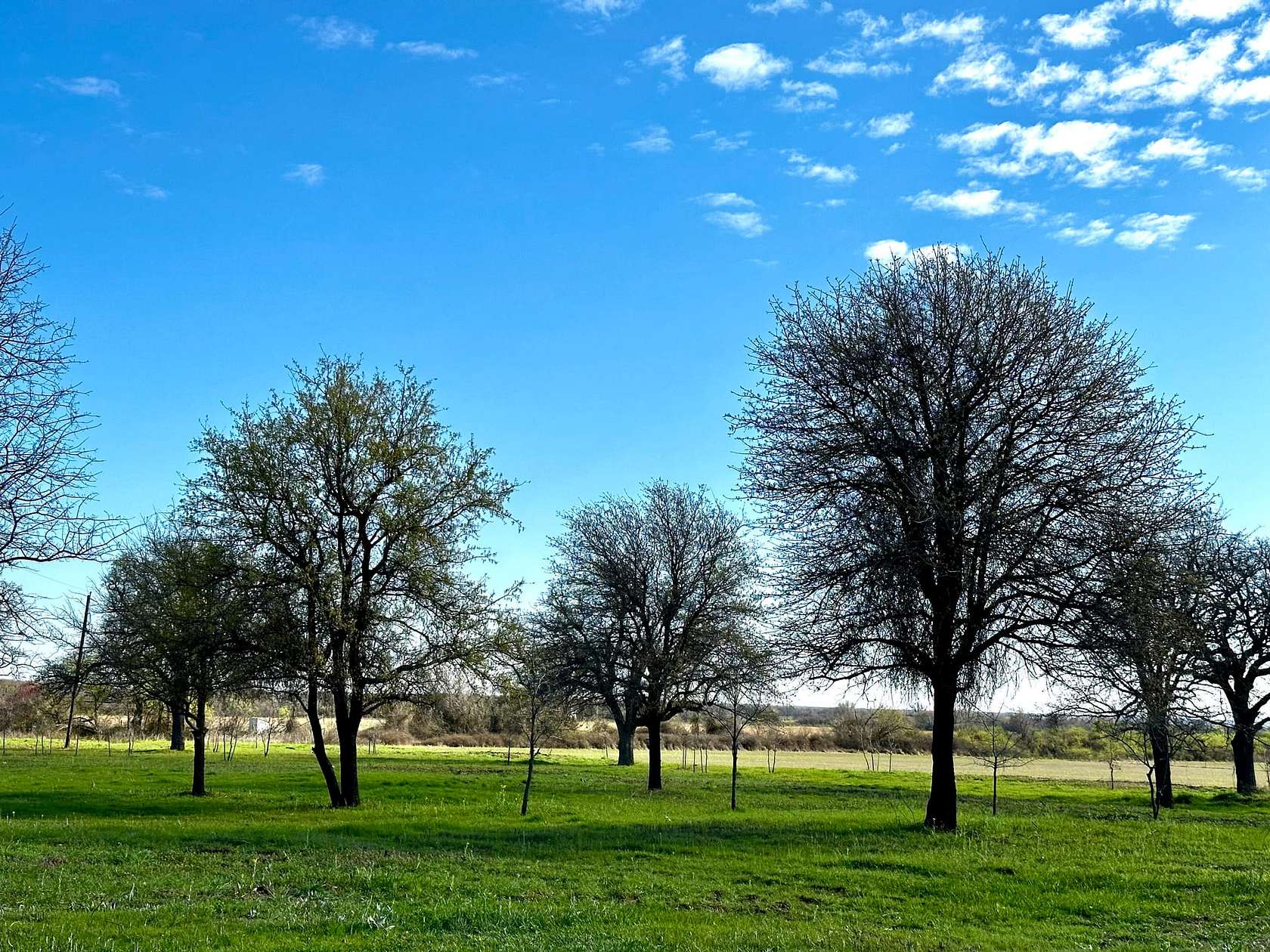 12.3 Acres of Recreational Land & Farm for Sale in Rising Star, Texas