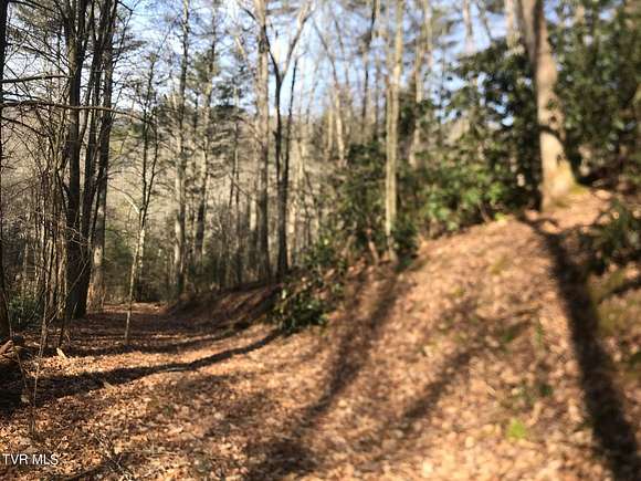 45.4 Acres of Land for Sale in Laurel Bloomery, Tennessee