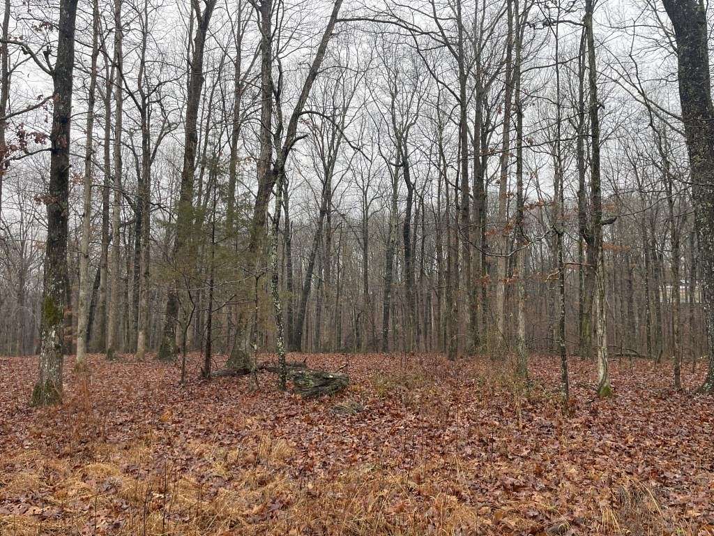 Land for Sale in Nunnelly, Alabama