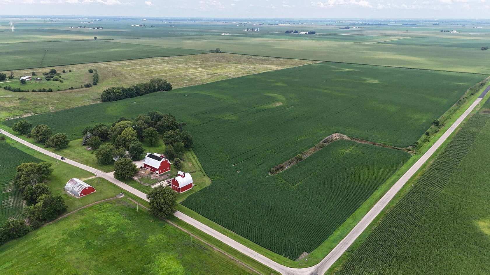 77.2 Acres of Agricultural Land for Sale in Tampico, Illinois