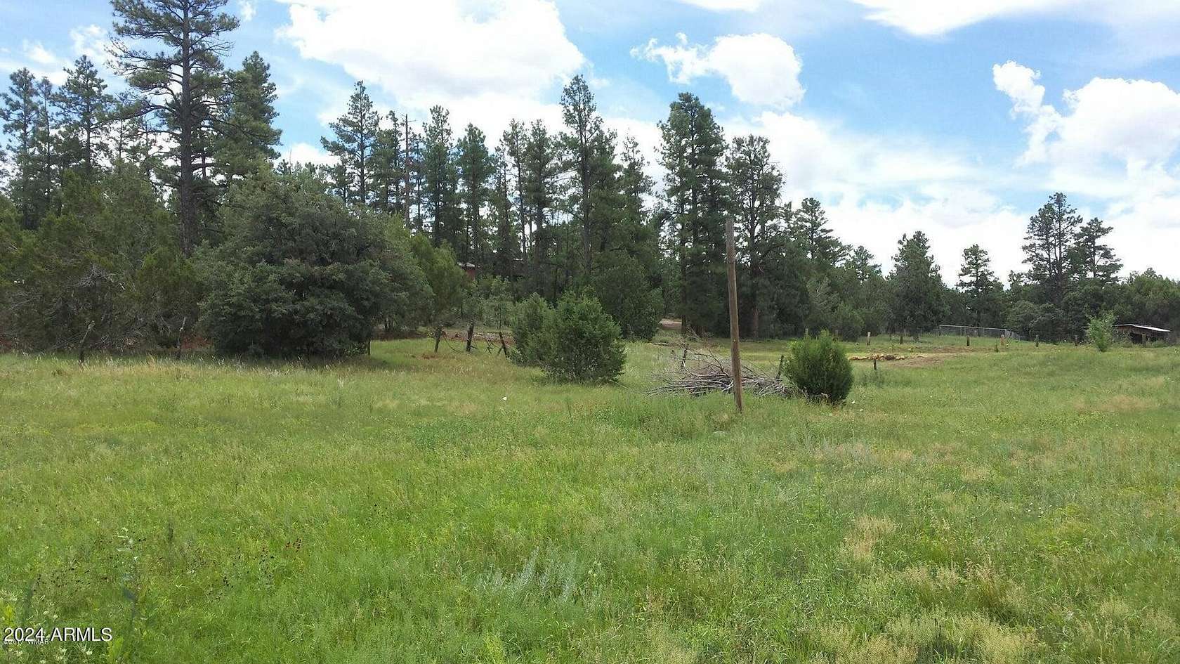 0.21 Acres of Land for Sale in Pinedale, Arizona
