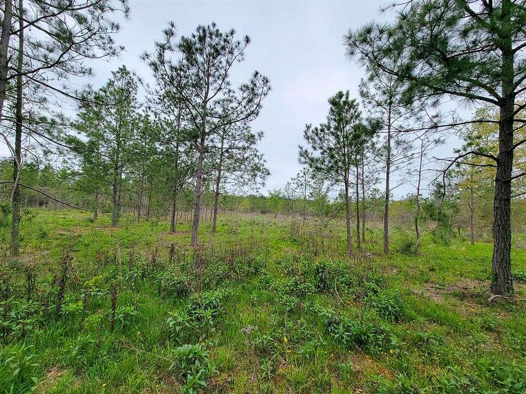 13.5 Acres of Land for Sale in Lovelady, Texas