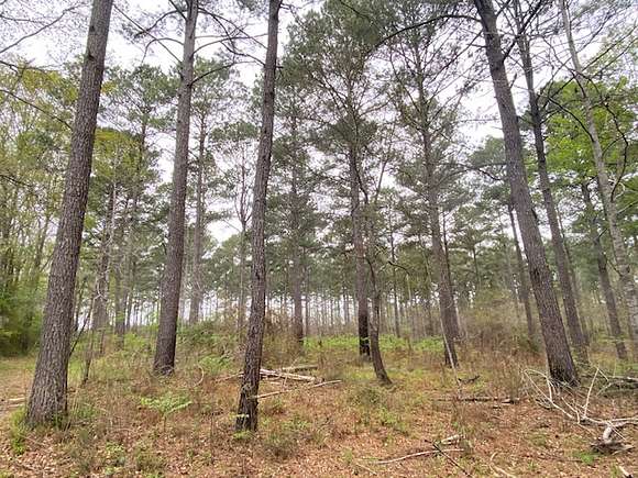 191 Acres of Recreational Land & Farm for Sale in Magnolia, Mississippi