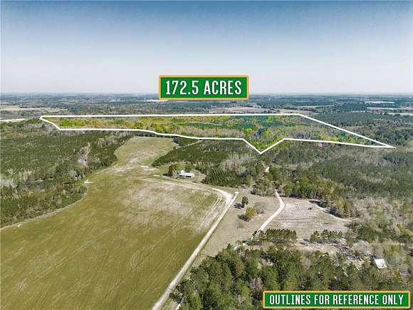 173 Acres of Recreational Land for Sale in Waycross, Georgia