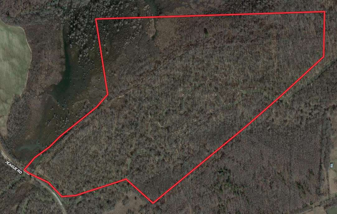 110 Acres of Recreational Land & Farm for Sale in Medon, Tennessee