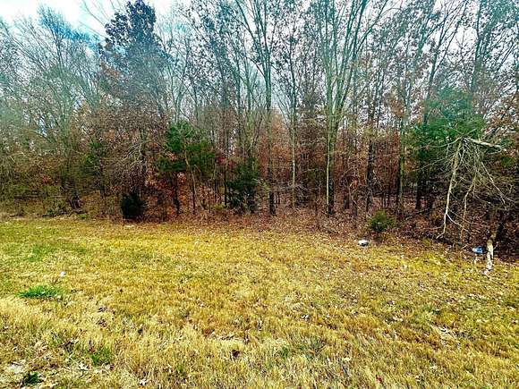 1.6 Acres of Mixed-Use Land for Sale in Leighton, Alabama