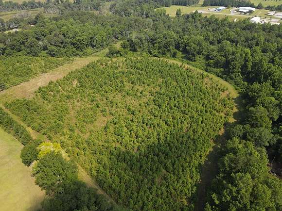 41.4 Acres of Agricultural Land for Sale in Tifton, Georgia