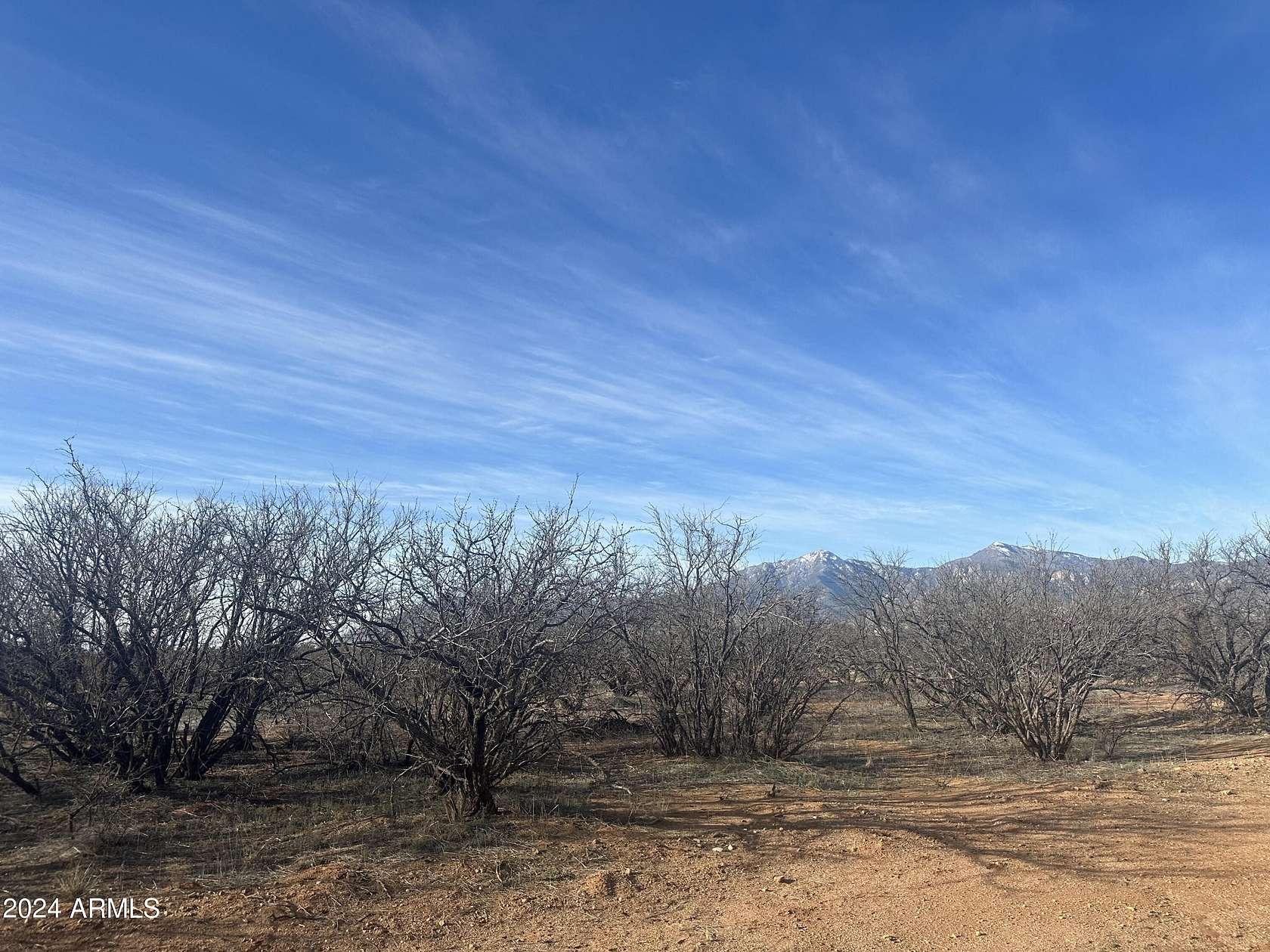 20 Acres of Agricultural Land for Sale in Hereford, Arizona