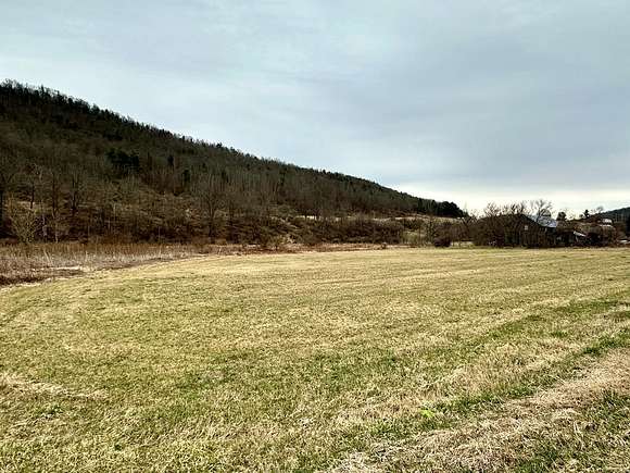 3 Acres of Commercial Land for Sale in Pine City, New York