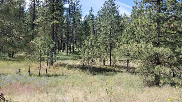 5.01 Acres of Residential Land for Sale in Deer Park, Washington