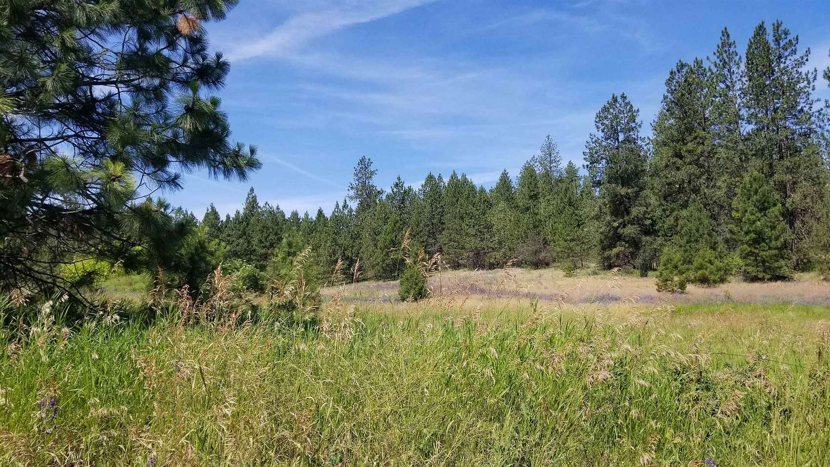 4.94 Acres of Residential Land for Sale in Deer Park, Washington