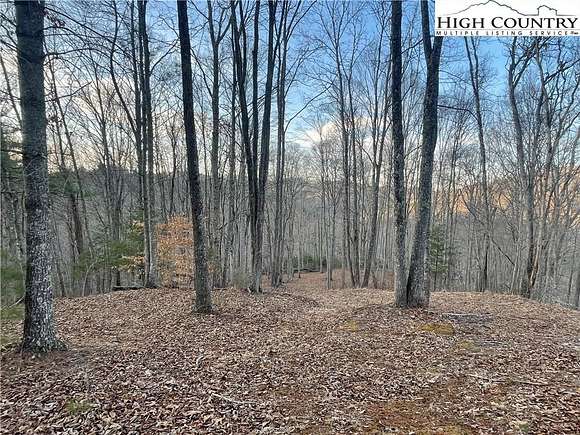 10.8 Acres of Recreational Land for Sale in Crumpler, North Carolina
