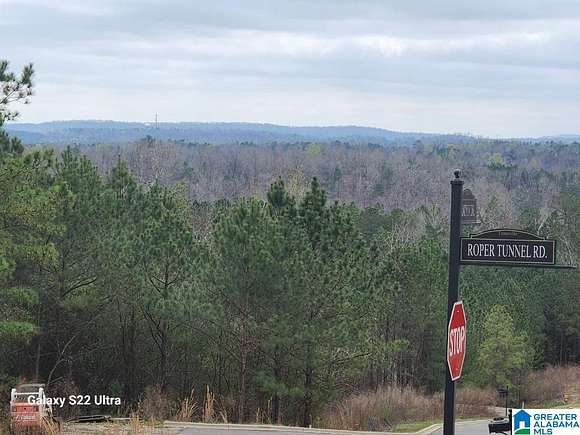 90 Acres of Land for Sale in Trussville, Alabama
