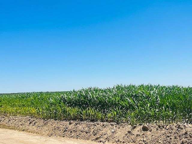 22.9 Acres of Agricultural Land for Sale in Chowchilla, California