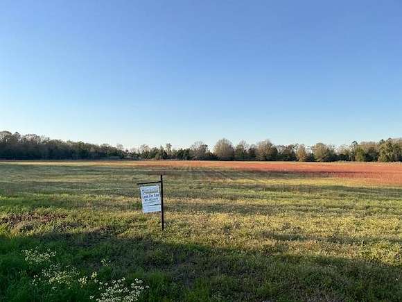 23.5 Acres of Agricultural Land for Sale in Springfield, South Carolina