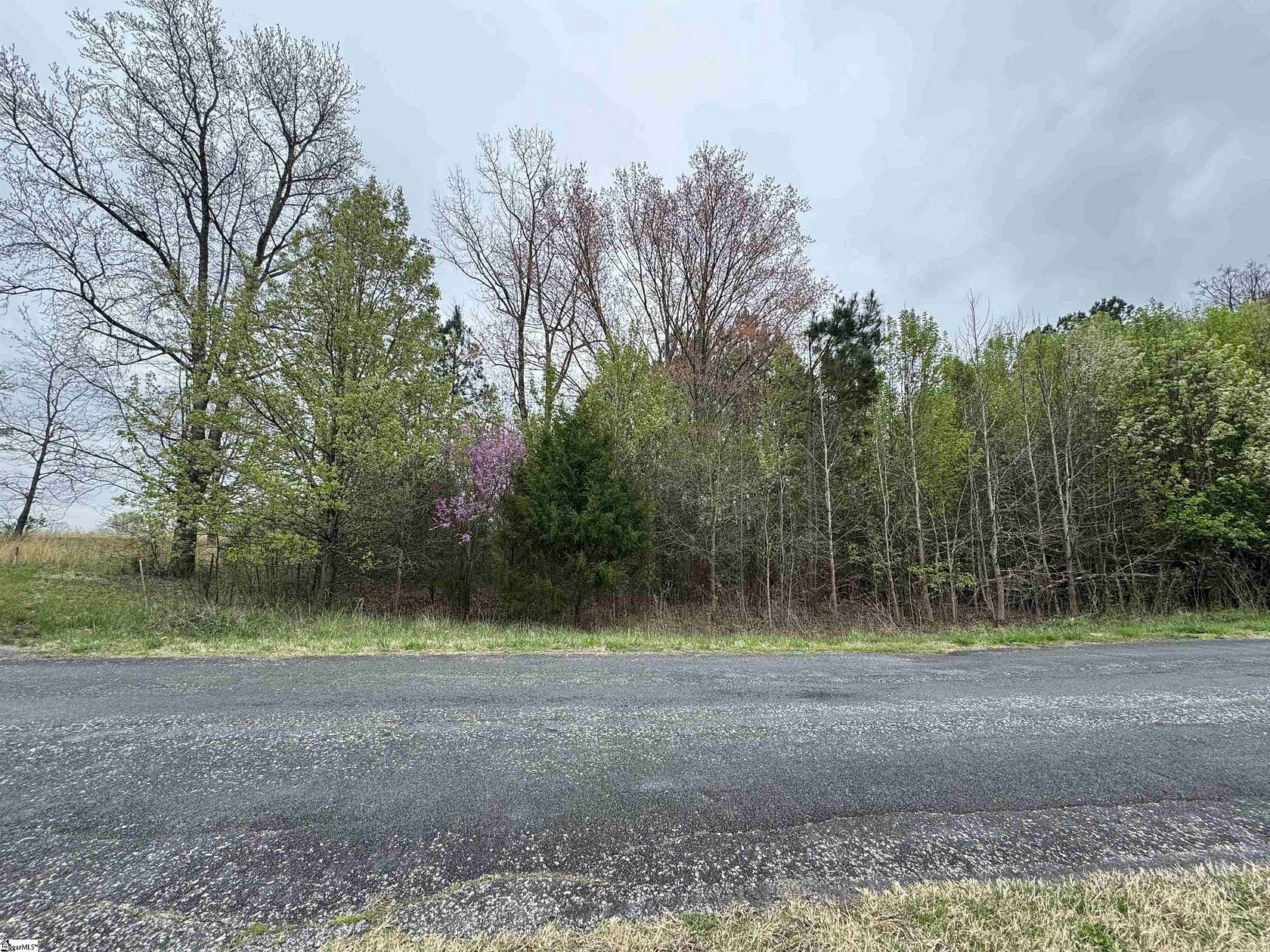 0.43 Acres of Residential Land for Sale in Chesnee, South Carolina