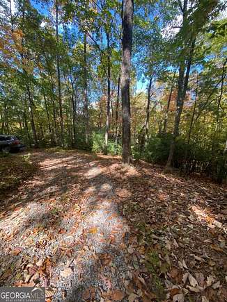 0.46 Acres of Land for Sale in East Ellijay, Georgia